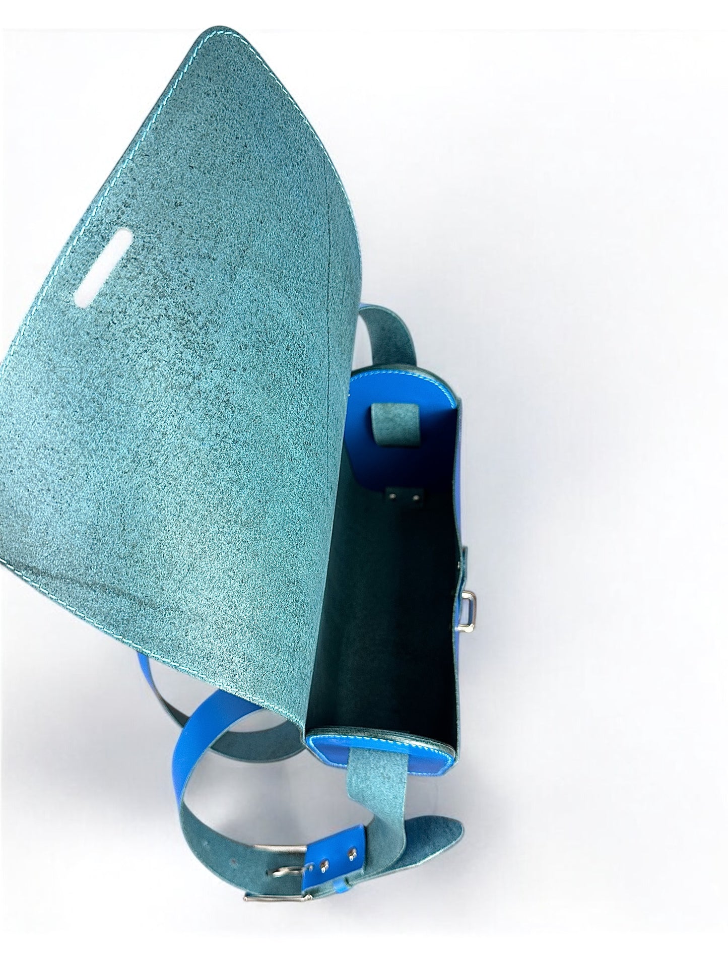 Claude à pontet bleu roi