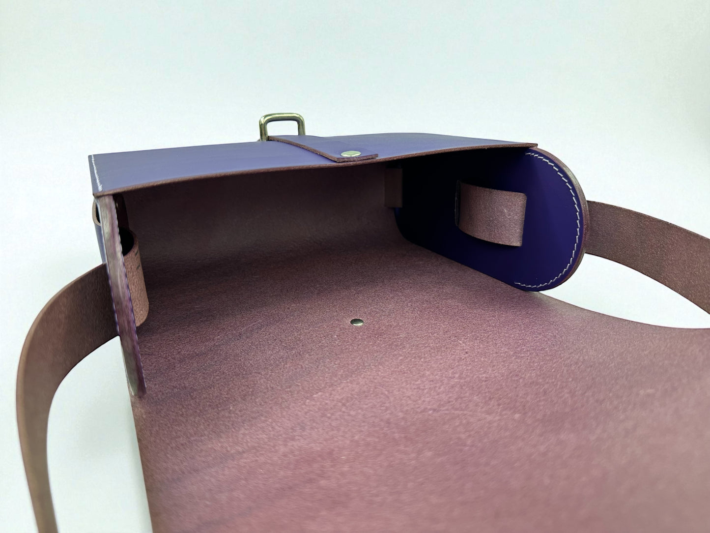 Claude à pontet purple